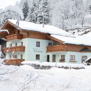 Pension Böhmerwald Hinterglemm