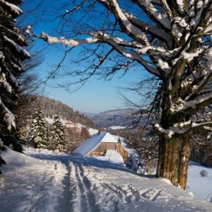 Ochsenwirtshof Bad Rippoldsau-Schapbach