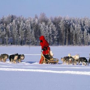 8-daagse Nature Week Lainio Snow Village