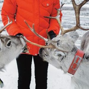 5-dg excursiereis Shortbreak The Beauty of Ruka