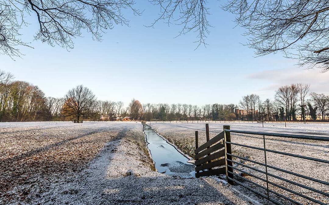 Ontdek Nederland op je eigen tempo, de beste tips voor een vakantie dichtbij huis
